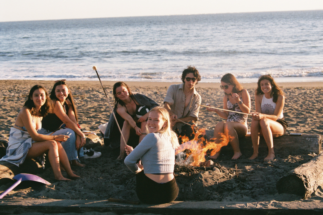 wolves (co-opers who live at Wolf) on the beach roasting smores over a campfire
