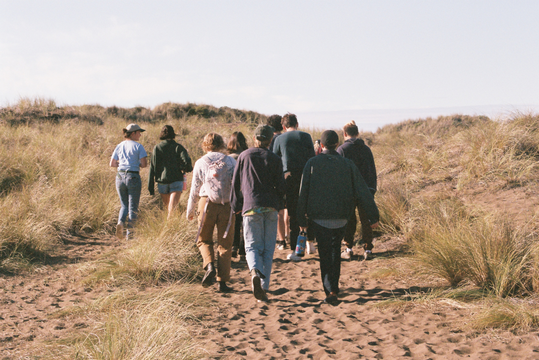 a pack of wolves (co-opers who live at Wolf) walking through sand dunes toward the ocean