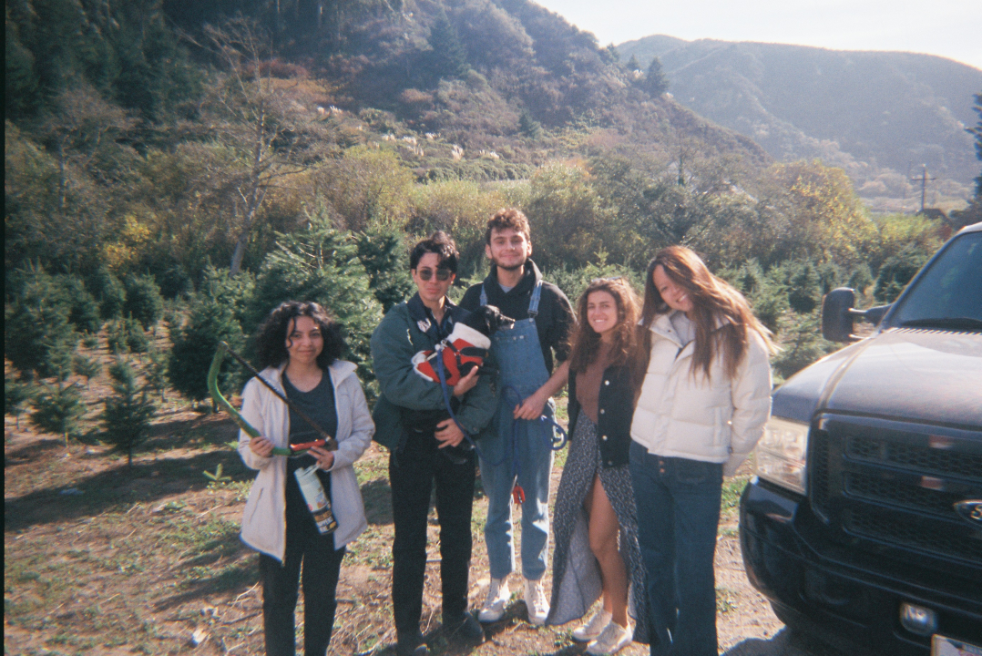 five wolves (co-opers who live at Wolf) standing in front of a truck, with mountains and trees behind them, one holds a saw, one holds a small dog wearing a santa vest