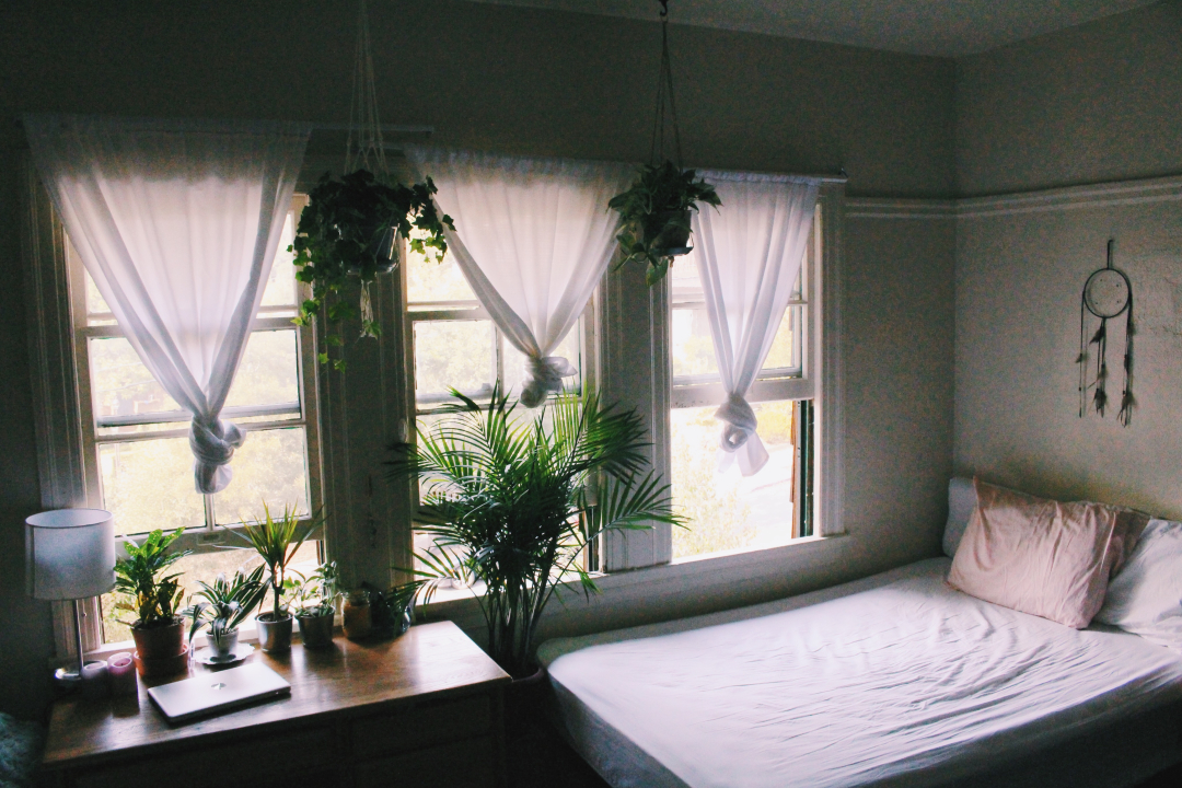 Room in a house.  A cozy bedroom with soft natural light, featuring a single bed beside large windows draped with sheer curtains. Several hanging and potted plants add a touch of greenery, and a dreamcatcher decorates the wall.