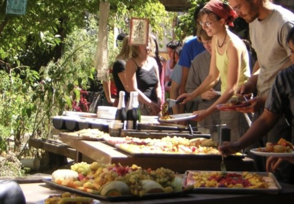 People eating food from a Buffet at a Co-op. A group of people gather around a long outdoor table laden with colorful platters of food. They serve themselves in a relaxed, communal atmosphere, surrounded by greenery.