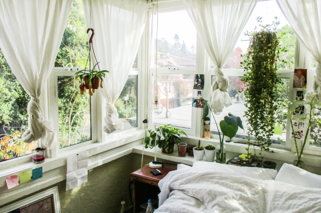 Room in a Co-op. A bright, cozy bedroom with large corner windows draped in knotted white curtains, letting in abundant natural light. Several potted plants line the windowsills, and a bed with white linens occupies the corner, creating a serene, leafy retreat.